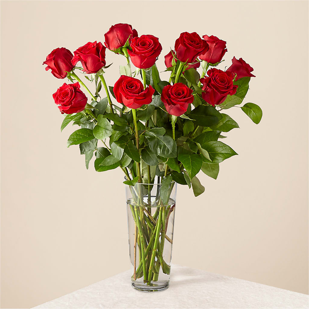 Long Stem Red Rose Bouquet – Sammy Wammy Floral, Montgomery IL