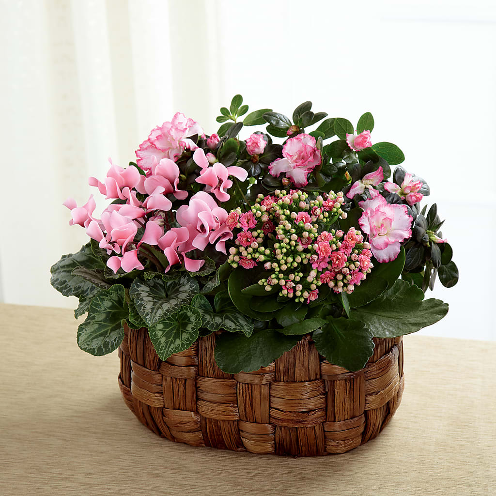 Pink Assortment – Sammy Wammy Floral, Montgomery IL