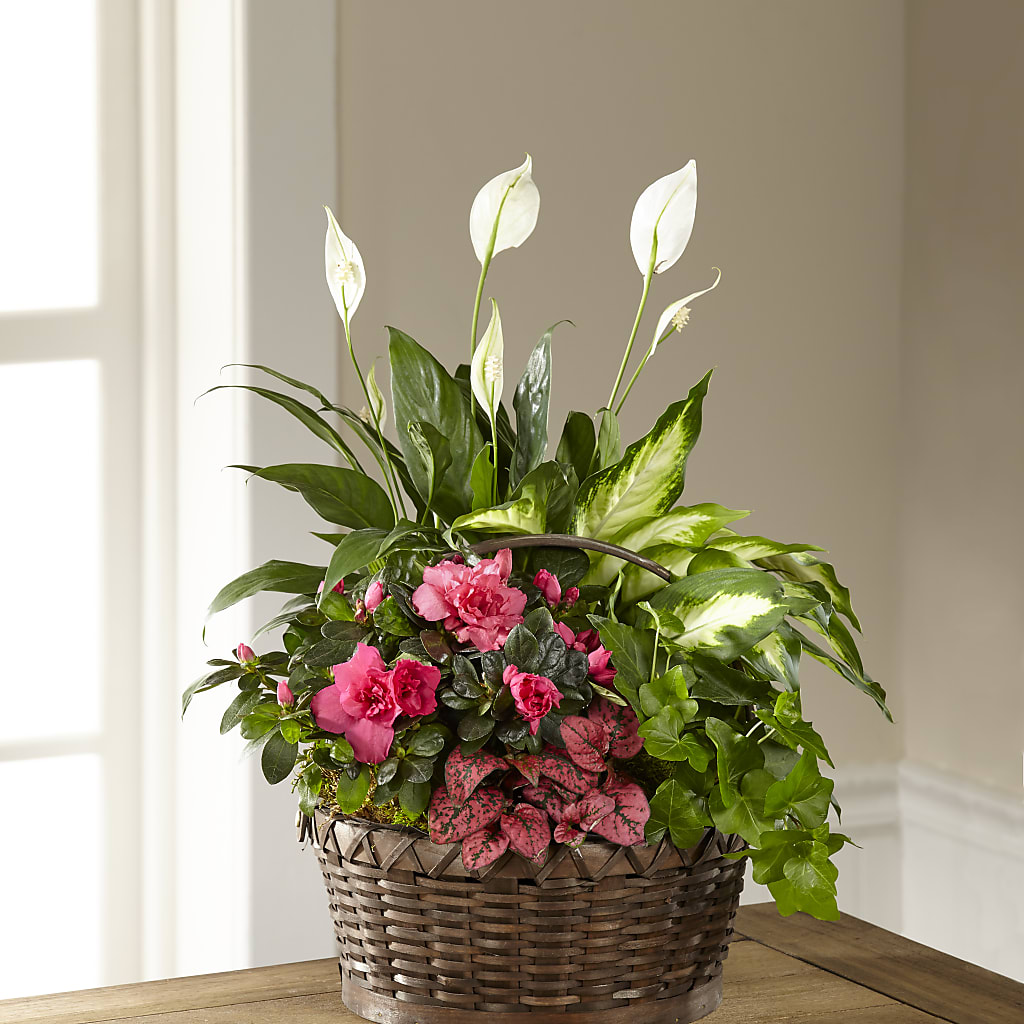 Dream in Pink Dishgarden – Sammy Wammy Floral, Montgomery IL