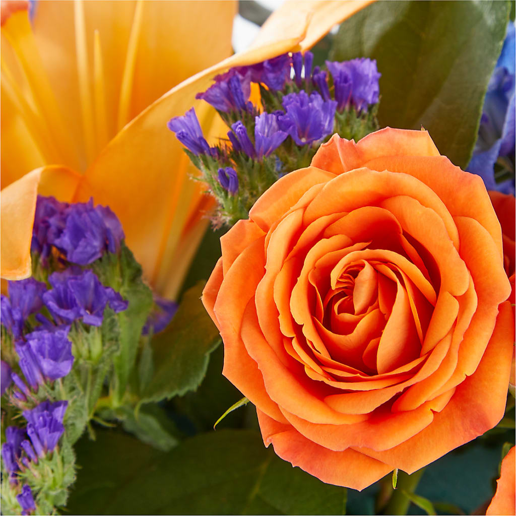 Radiant Citrus Box Bouquet – Sammy Wammy Floral, Montgomery IL