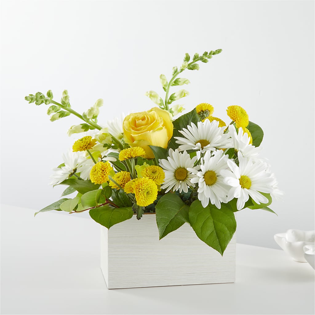 Sun Salutation Box Bouquet – Sammy Wammy Floral, Montgomery IL