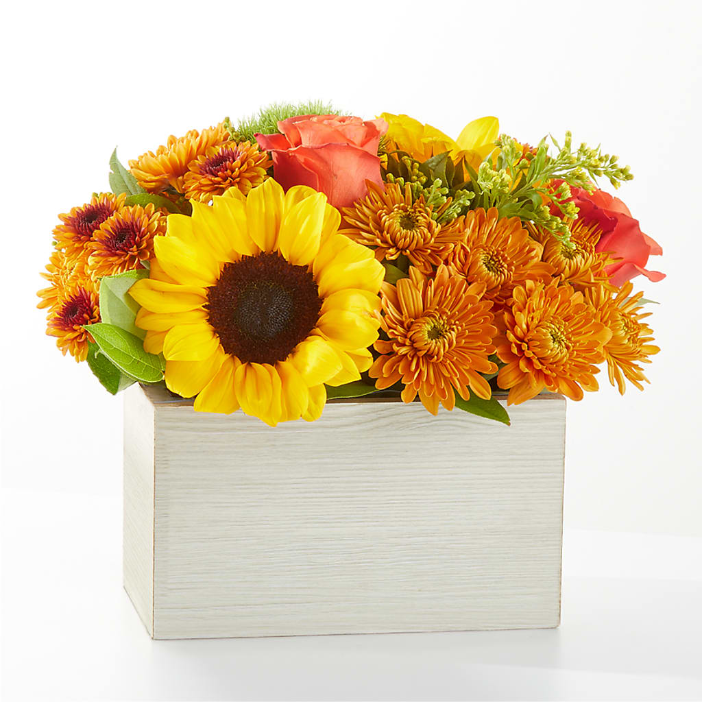 Farmer’s Market Stroll Bouquet – Sammy Wammy Floral, Montgomery IL