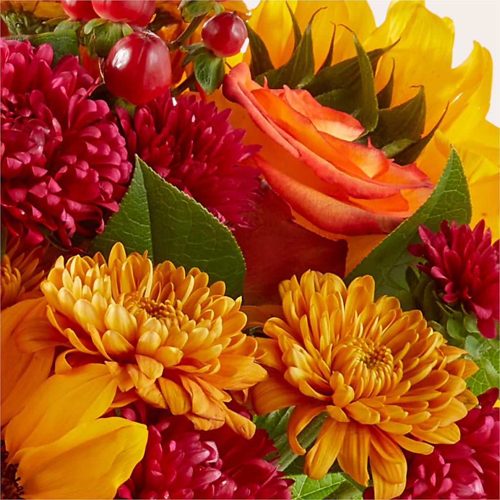 Sweater Season - A Florist Original – Sammy Wammy Floral, Montgomery IL
