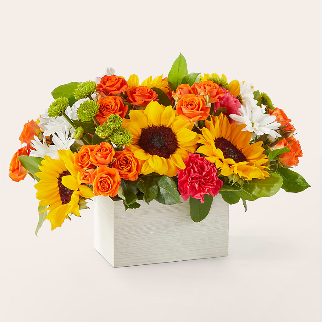 Sun-drenched Blooms Box Bouquet – Sammy Wammy Floral, Montgomery IL