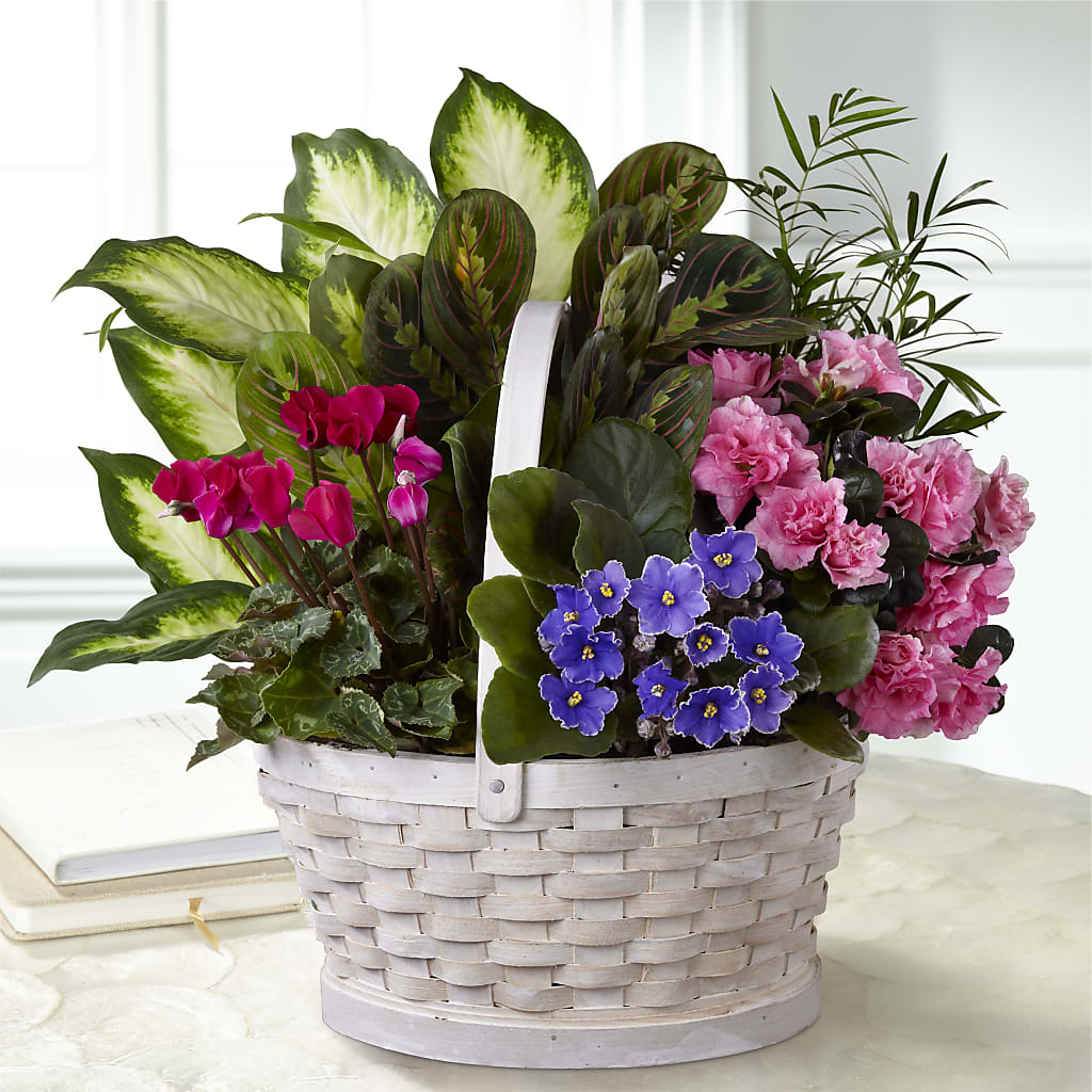 Peaceful Garden Planter – Sammy Wammy Floral, Montgomery IL
