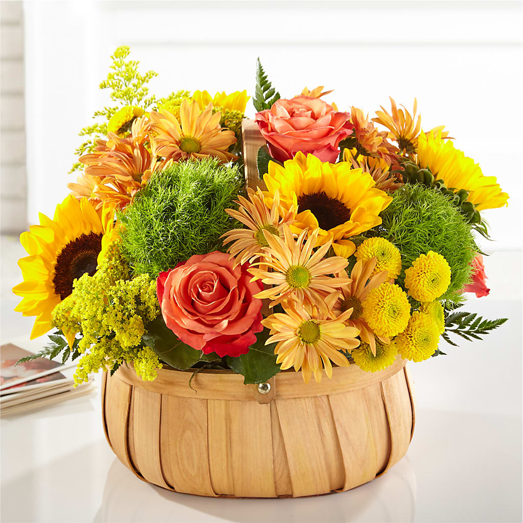 Harvest Sunflower Basket – Sammy Wammy Floral, Montgomery IL