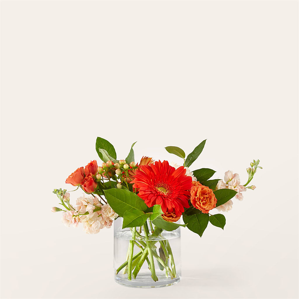 Paloma Please Bouquet – Sammy Wammy Floral, Montgomery IL