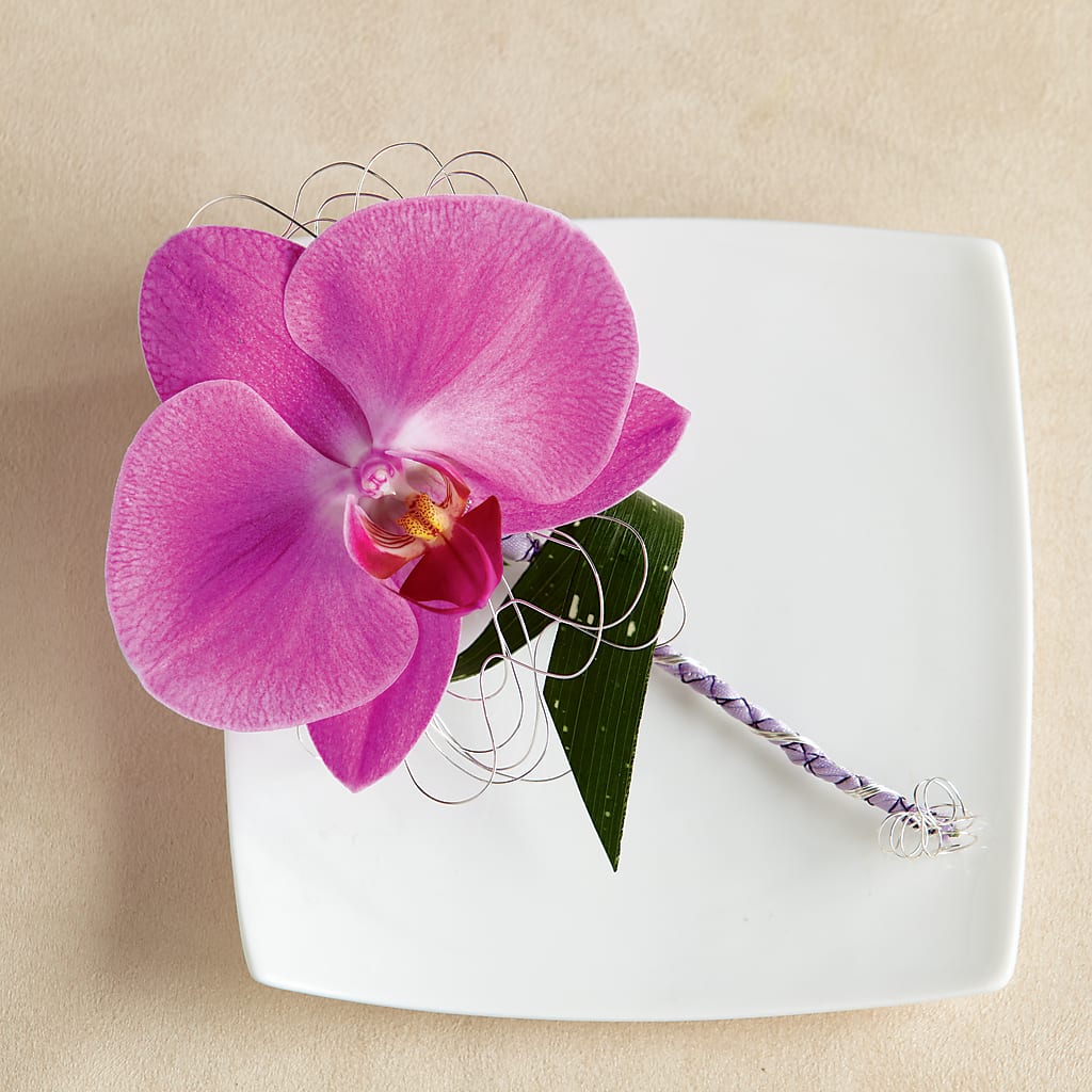 Glorious Boutonniere – Sammy Wammy Floral, Montgomery IL