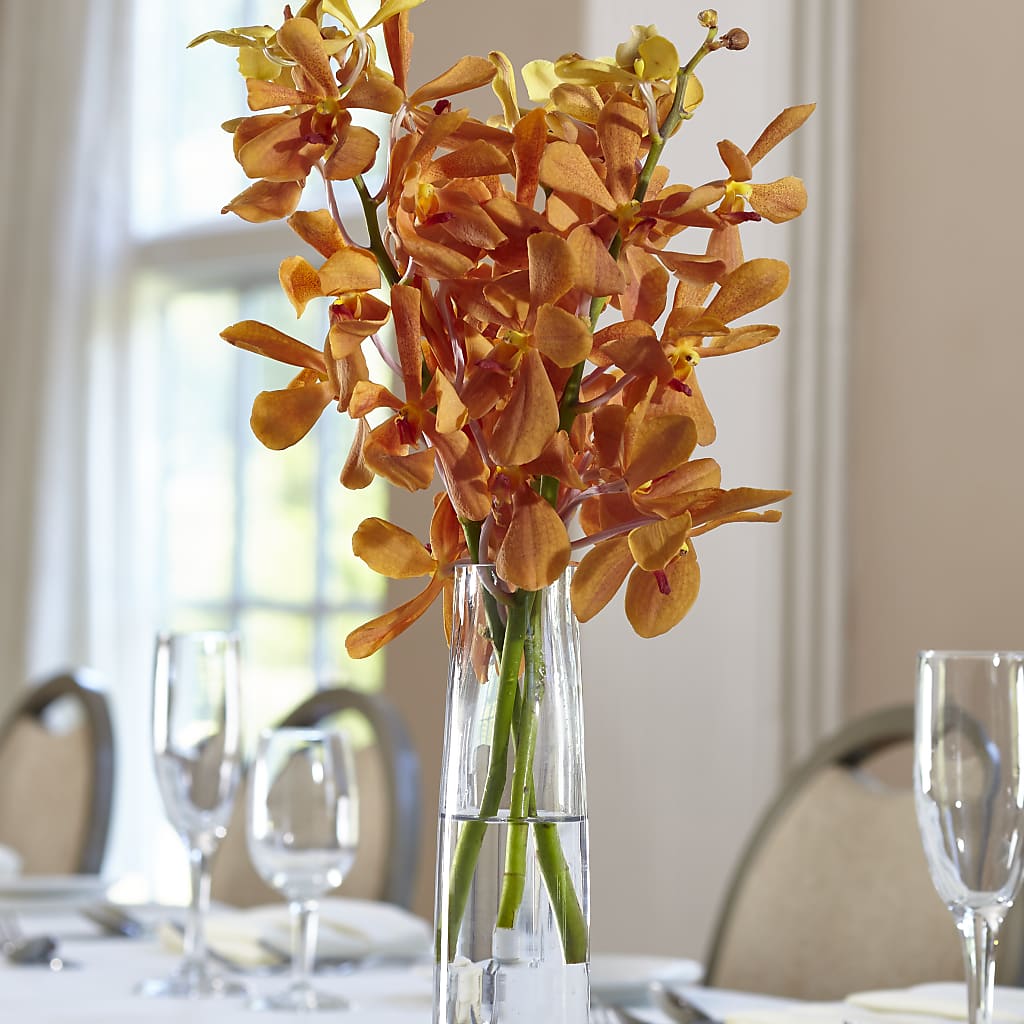 Orange Mokara Bud Vase – Sammy Wammy Floral, Montgomery IL