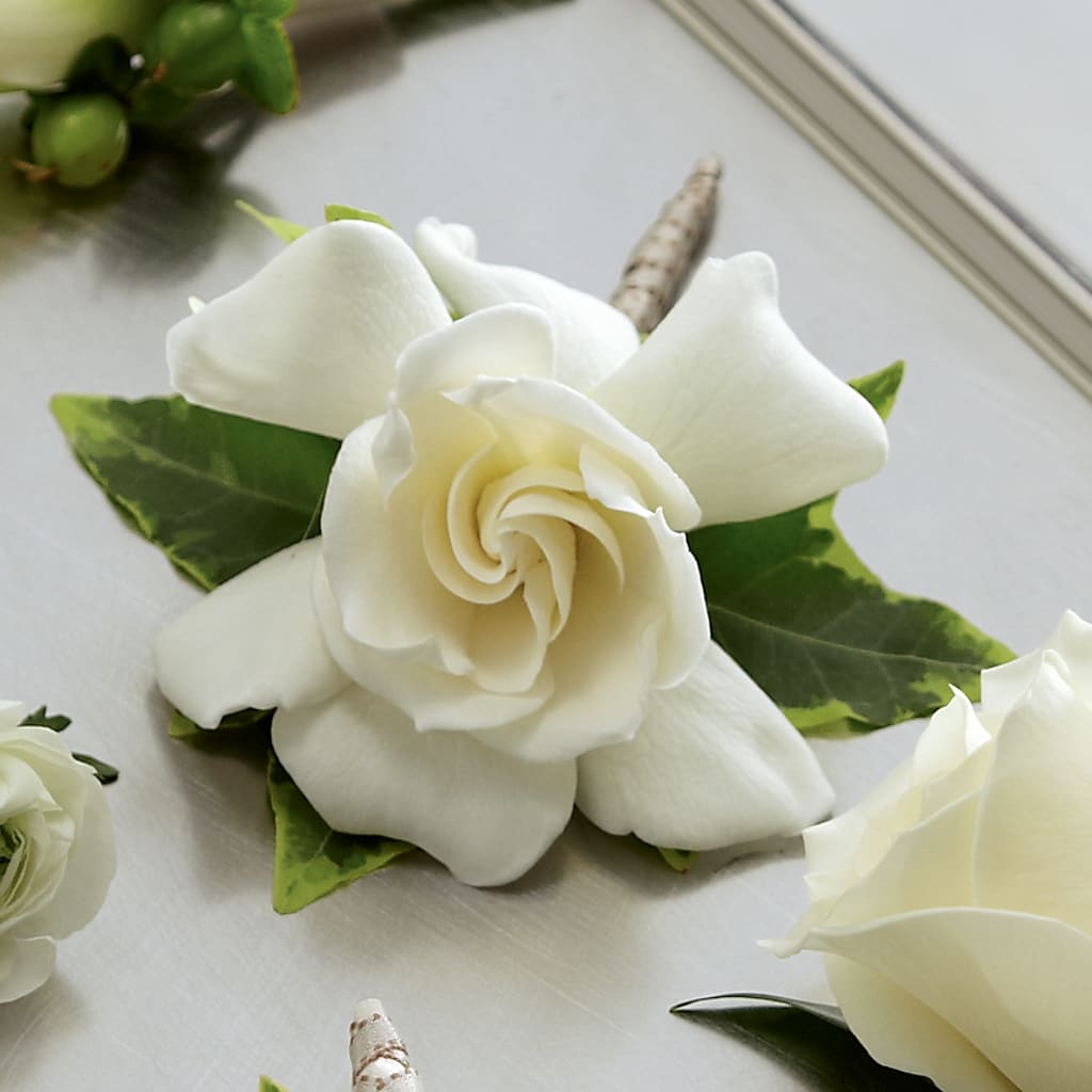 Gardenia Boutonniere – Sammy Wammy Floral, Montgomery IL