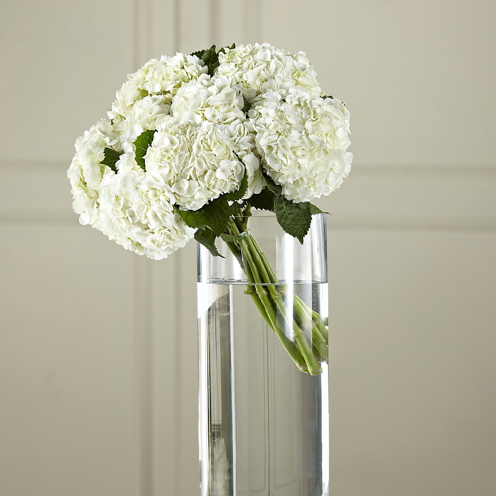 White Hydrangea Hand-Tied Bouquet – Sammy Wammy Floral, Montgomery IL