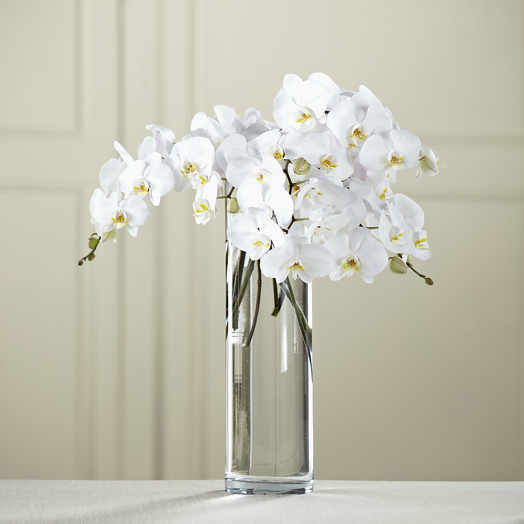 White Phalaenopsis Bouquet – Sammy Wammy Floral, Montgomery IL