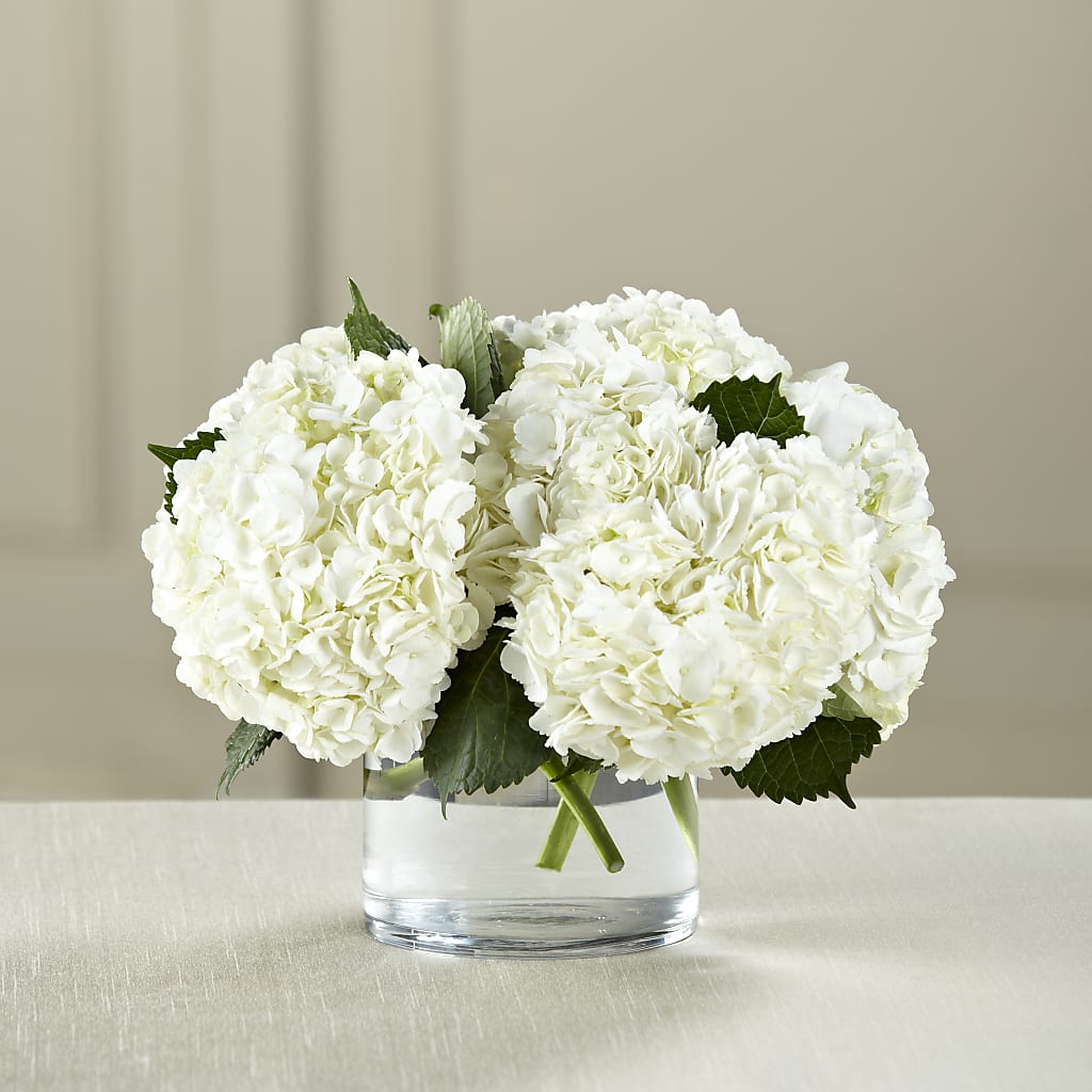 White Hydrangea Bouquet – Sammy Wammy Floral, Montgomery IL