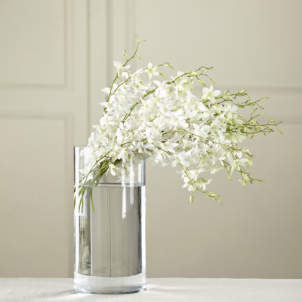 White Dendrobium Bouquet – Sammy Wammy Floral, Montgomery IL