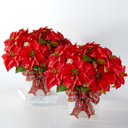 Happiest Holidays Poinsettia Bundle –  Sammy Wammy Floral, Montgomery IL