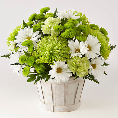 Lucky Charm Basket (Standard) –  Sammy Wammy Floral, Montgomery IL