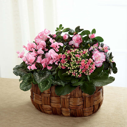 Pink Assortment –  Sammy Wammy Floral, Montgomery IL