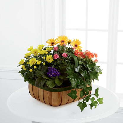 Gentle Blossoms Basket –  Sammy Wammy Floral, Montgomery IL