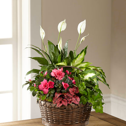 Dream in Pink Dishgarden –  Sammy Wammy Floral, Montgomery IL