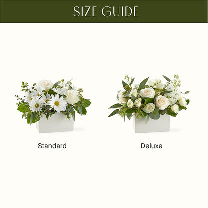 Fresh Linen Box Bouquet –  Sammy Wammy Floral, Montgomery IL