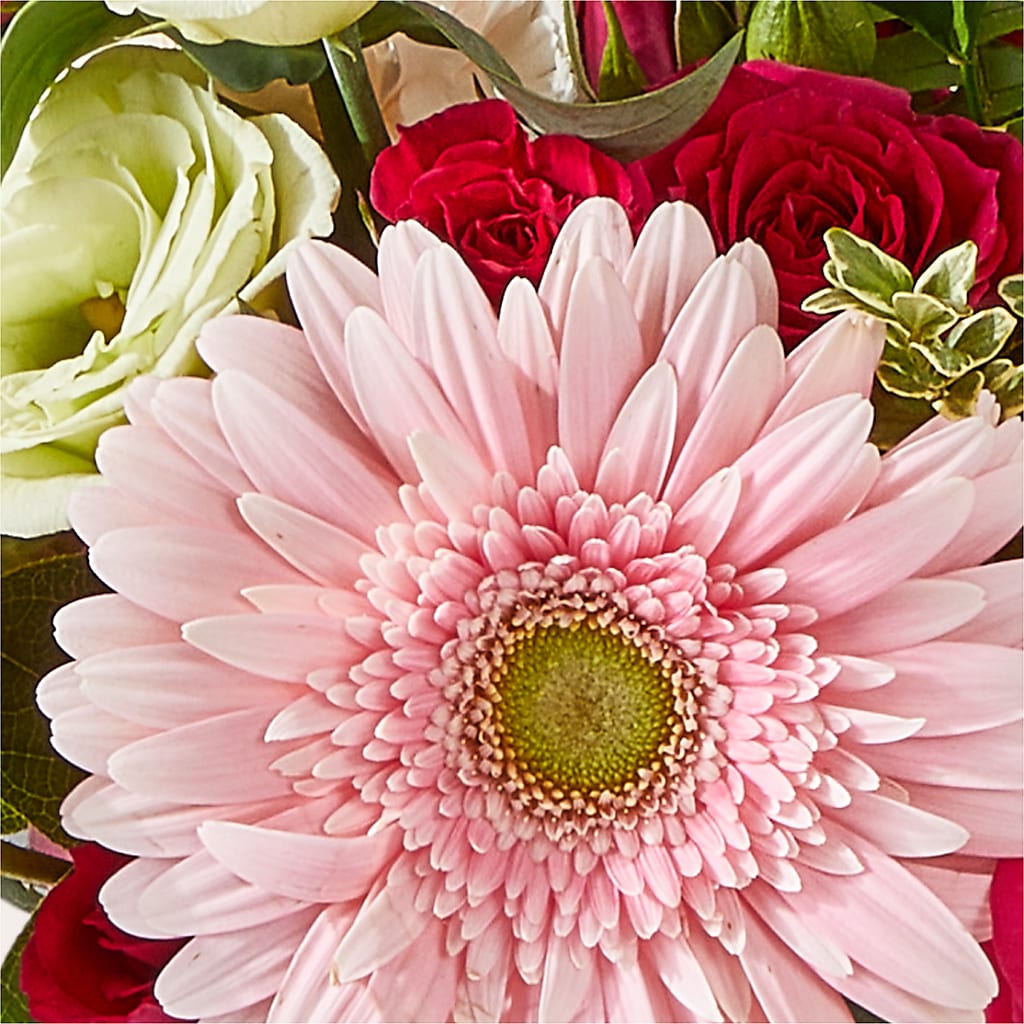 Too Cute Bouquet –  Sammy Wammy Floral, Montgomery IL