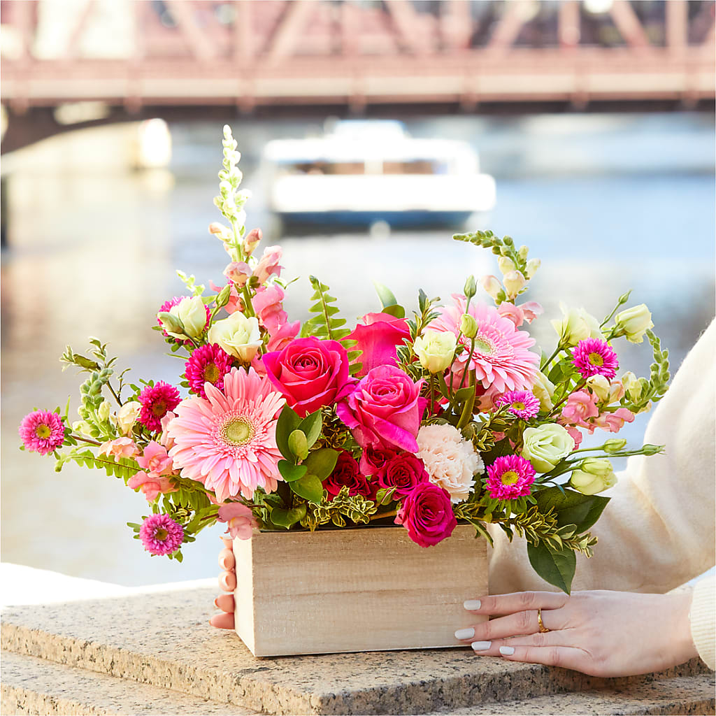Too Cute Bouquet –  Sammy Wammy Floral, Montgomery IL