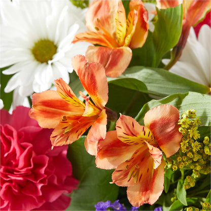 Oopsie Daisy Box Bouquet –  Sammy Wammy Floral, Montgomery IL