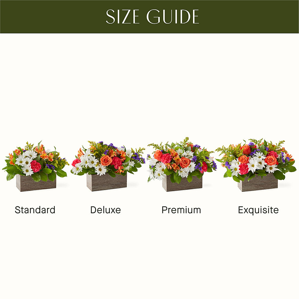 Oopsie Daisy Box Bouquet –  Sammy Wammy Floral, Montgomery IL