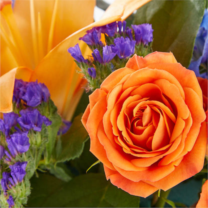 Radiant Citrus Box Bouquet –  Sammy Wammy Floral, Montgomery IL