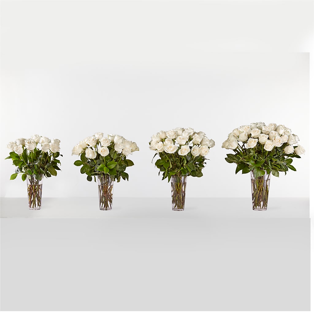 Long Stem White Rose Bouquet –  Sammy Wammy Floral, Montgomery IL