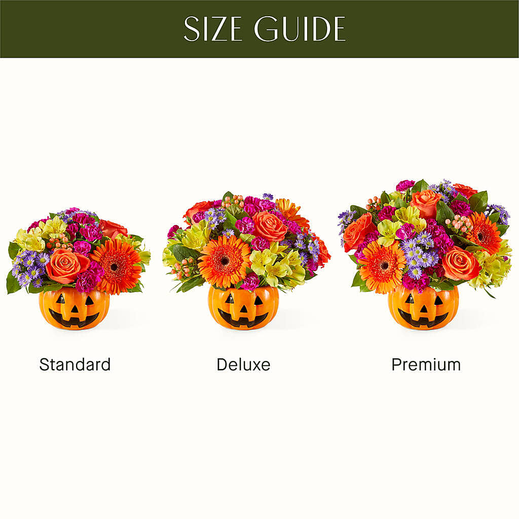Tricks & Treats Pumpkin –  Sammy Wammy Floral, Montgomery IL