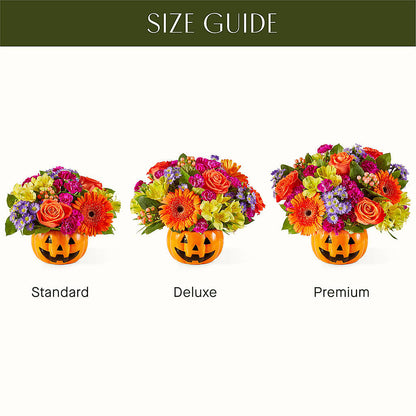 Tricks & Treats Pumpkin –  Sammy Wammy Floral, Montgomery IL