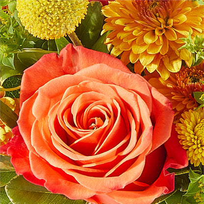 Gourdgeous Pumpkin –  Sammy Wammy Floral, Montgomery IL