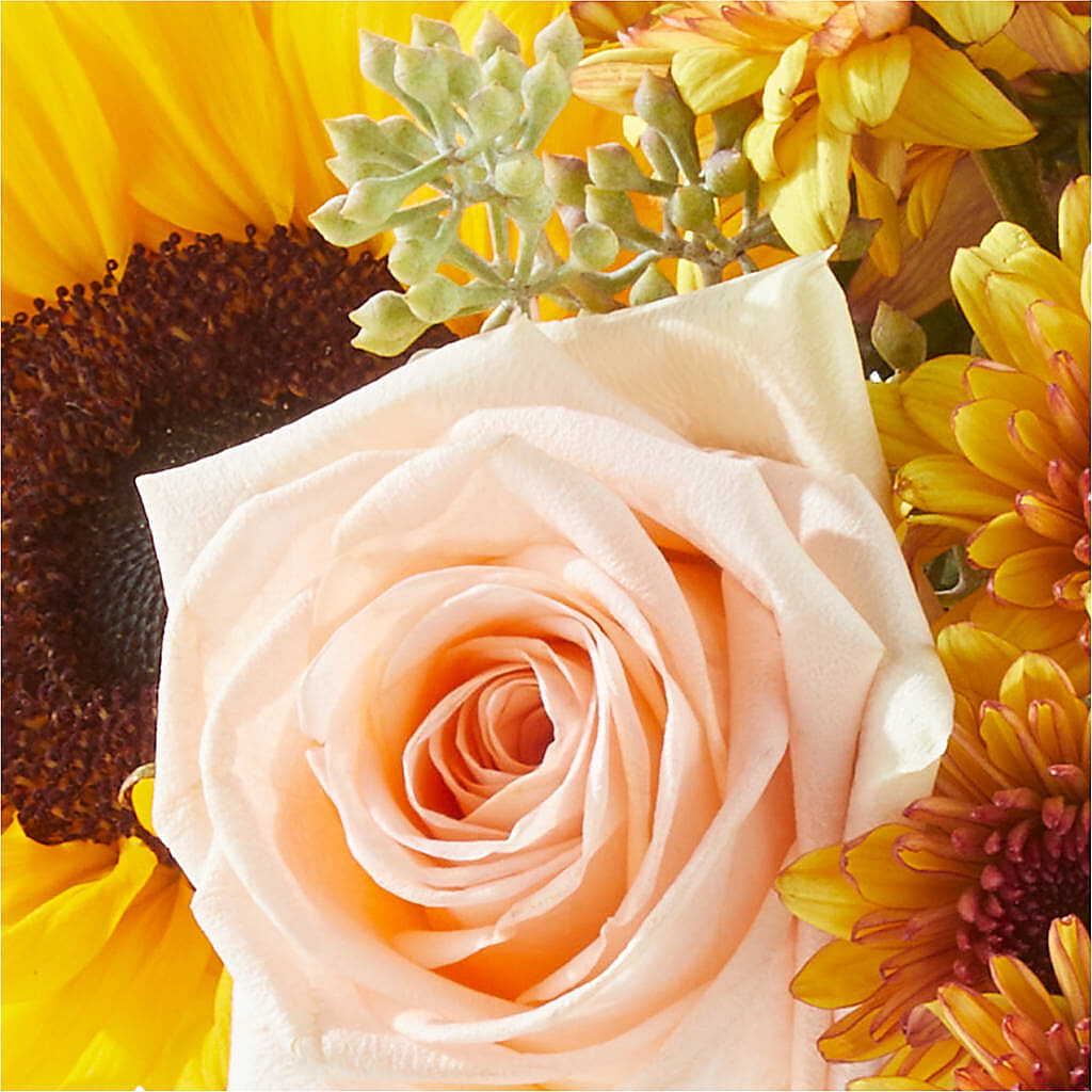 Pumpkin to Talk About Bouquet –  Sammy Wammy Floral, Montgomery IL