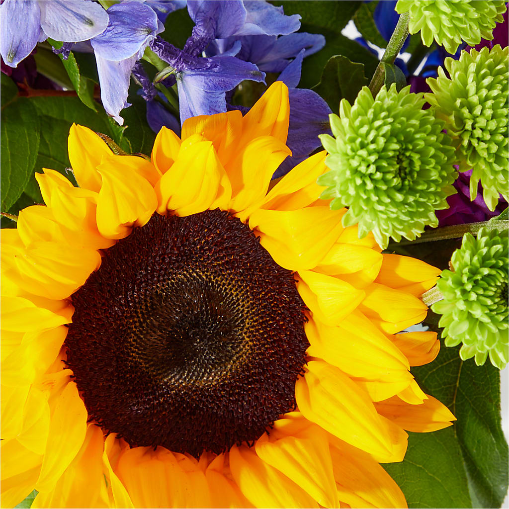 Catching Rays Bouquet –  Sammy Wammy Floral, Montgomery IL