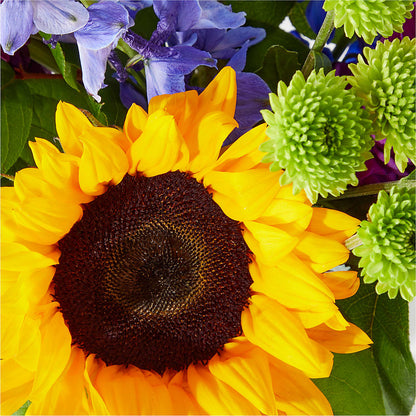 Catching Rays Bouquet –  Sammy Wammy Floral, Montgomery IL