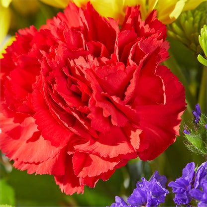 Brighter Days Bouquet –  Sammy Wammy Floral, Montgomery IL