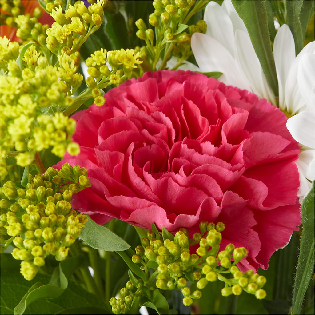 Oopsie Daisy Bouquet –  Sammy Wammy Floral, Montgomery IL