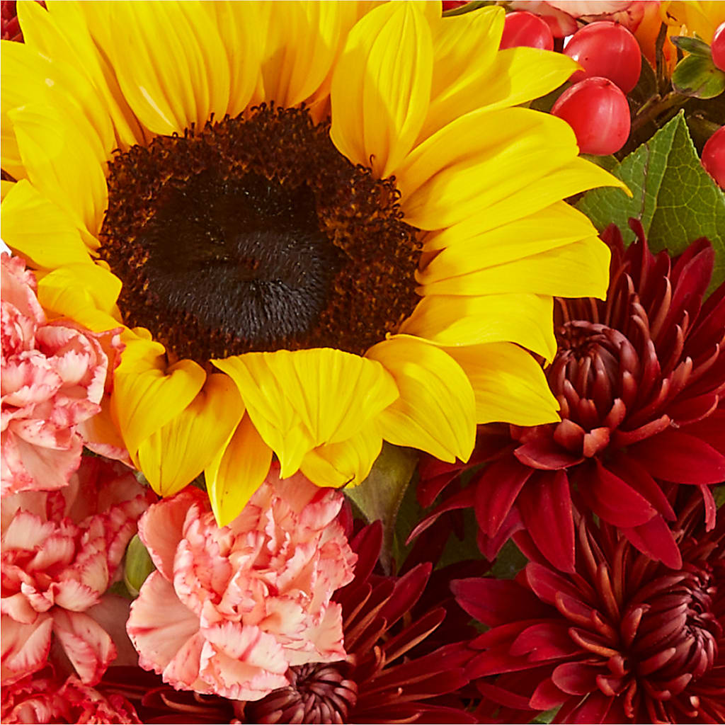 Fresh Cider Bouquet –  Sammy Wammy Floral, Montgomery IL