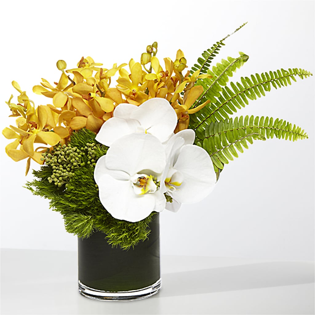 The Tropics –  Sammy Wammy Floral, Montgomery IL