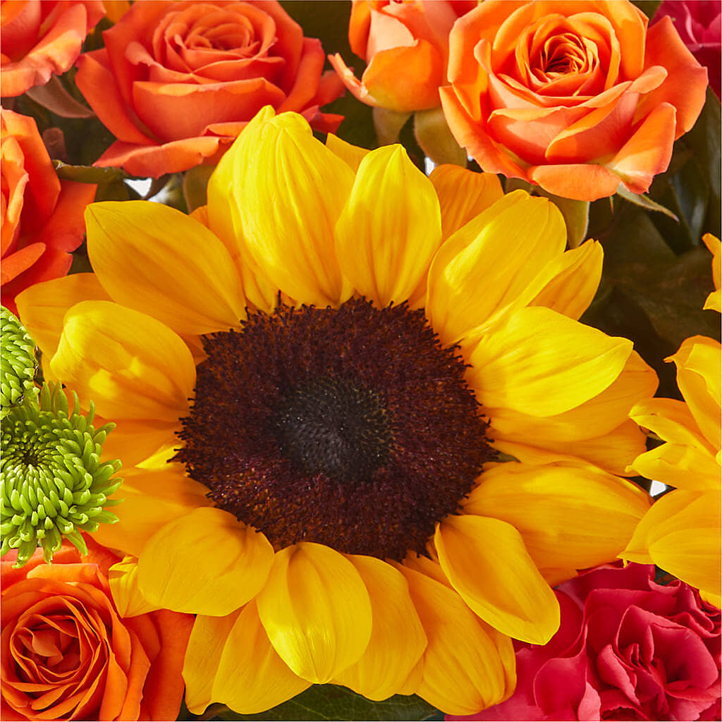 Sun-drenched Blooms Box Bouquet –  Sammy Wammy Floral, Montgomery IL