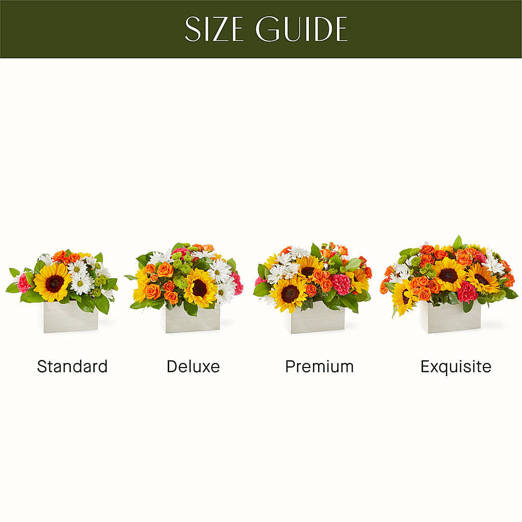 Sun-drenched Blooms Box Bouquet –  Sammy Wammy Floral, Montgomery IL