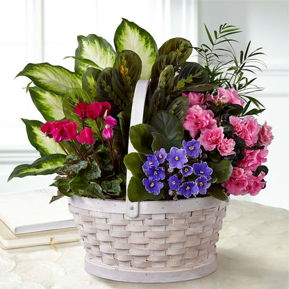 Peaceful Garden Planter –  Sammy Wammy Floral, Montgomery IL
