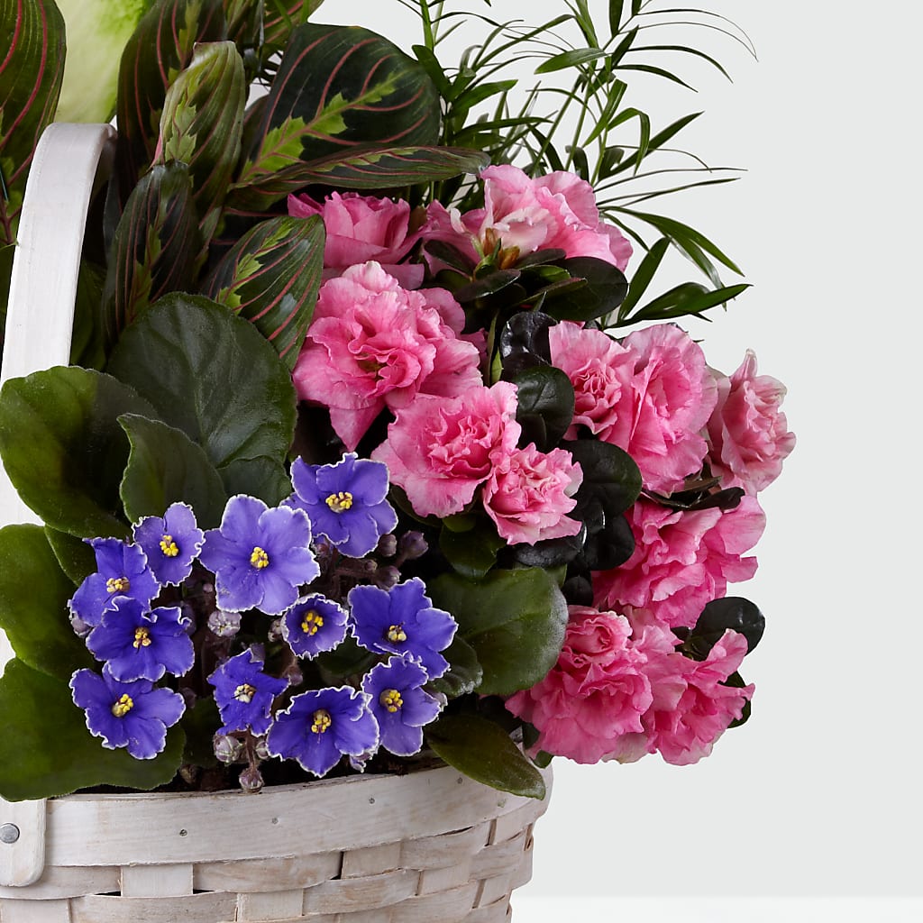 Peaceful Garden Planter –  Sammy Wammy Floral, Montgomery IL