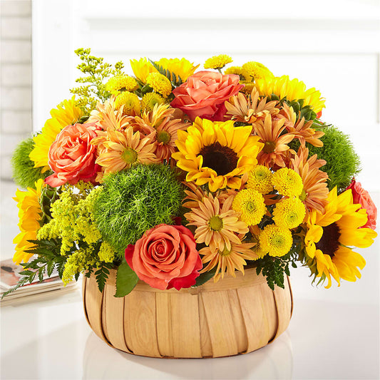 Harvest Sunflower Basket –  Sammy Wammy Floral, Montgomery IL