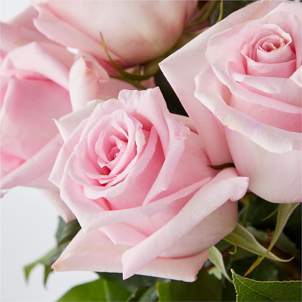 Picture Perfect Pink Rose Bouquet –  Sammy Wammy Floral, Montgomery IL