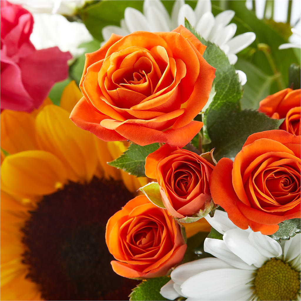 Sun-drenched Blooms Bouquet –  Sammy Wammy Floral, Montgomery IL