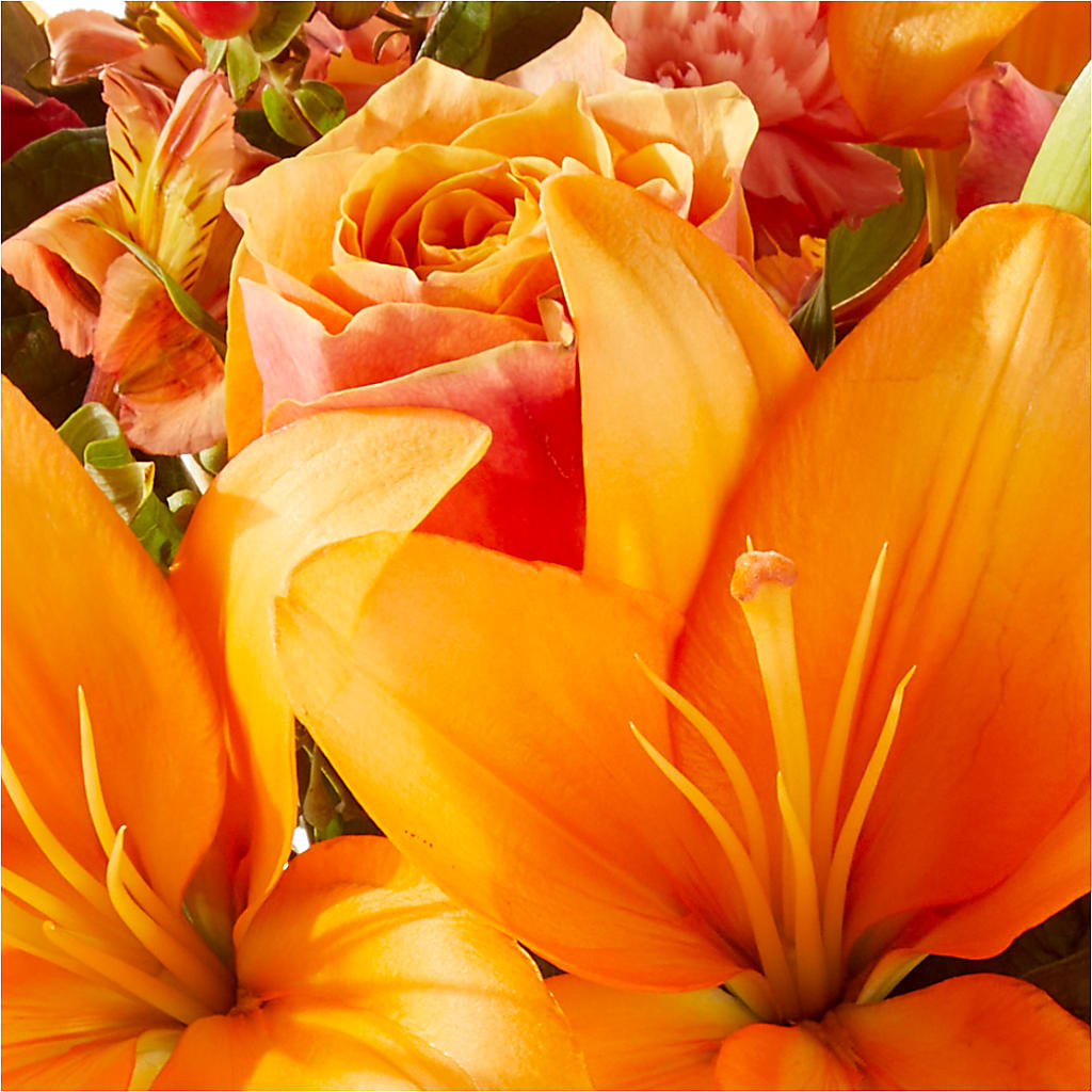 Afternoon Light Bouquet –  Sammy Wammy Floral, Montgomery IL