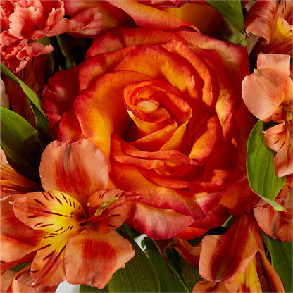 Apricot Glow Bouquet –  Sammy Wammy Floral, Montgomery IL