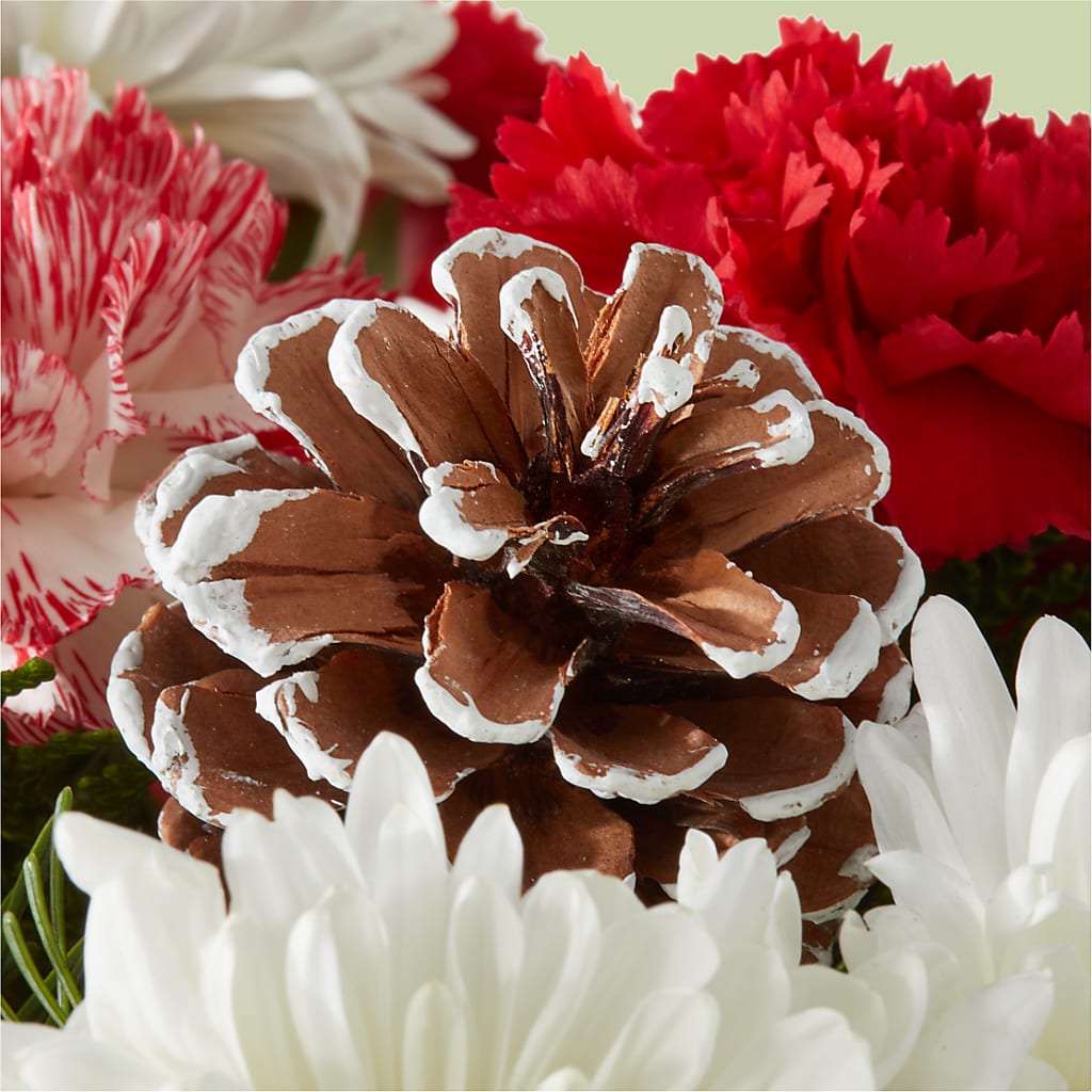 Candy Cane Lane Bouquet –  Sammy Wammy Floral, Montgomery IL
